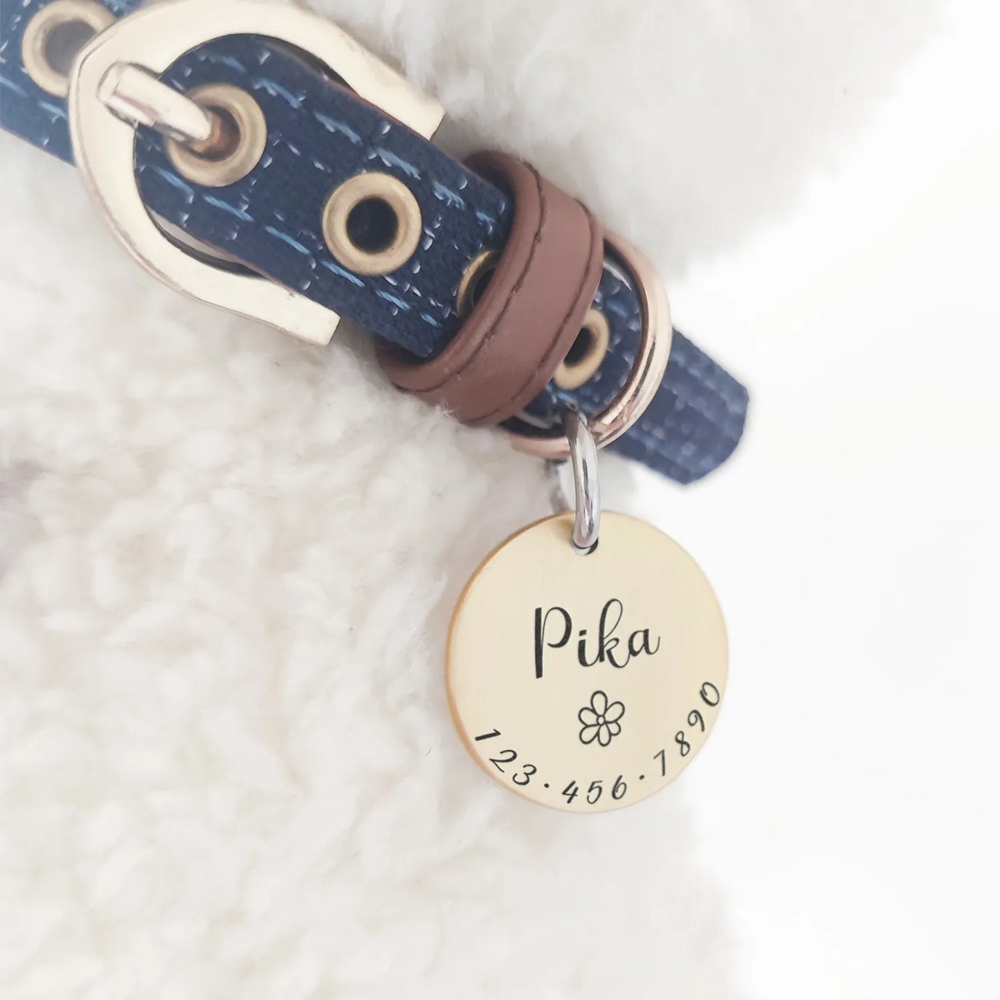 Collar Me Impressed